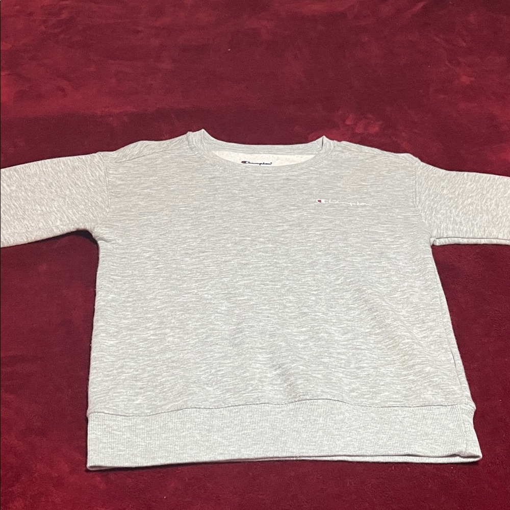 Champion Kids Light Gray Sweatshirt